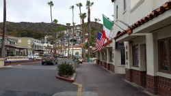 Busy Crescent Street in Avalon with shops and people enjoying the day